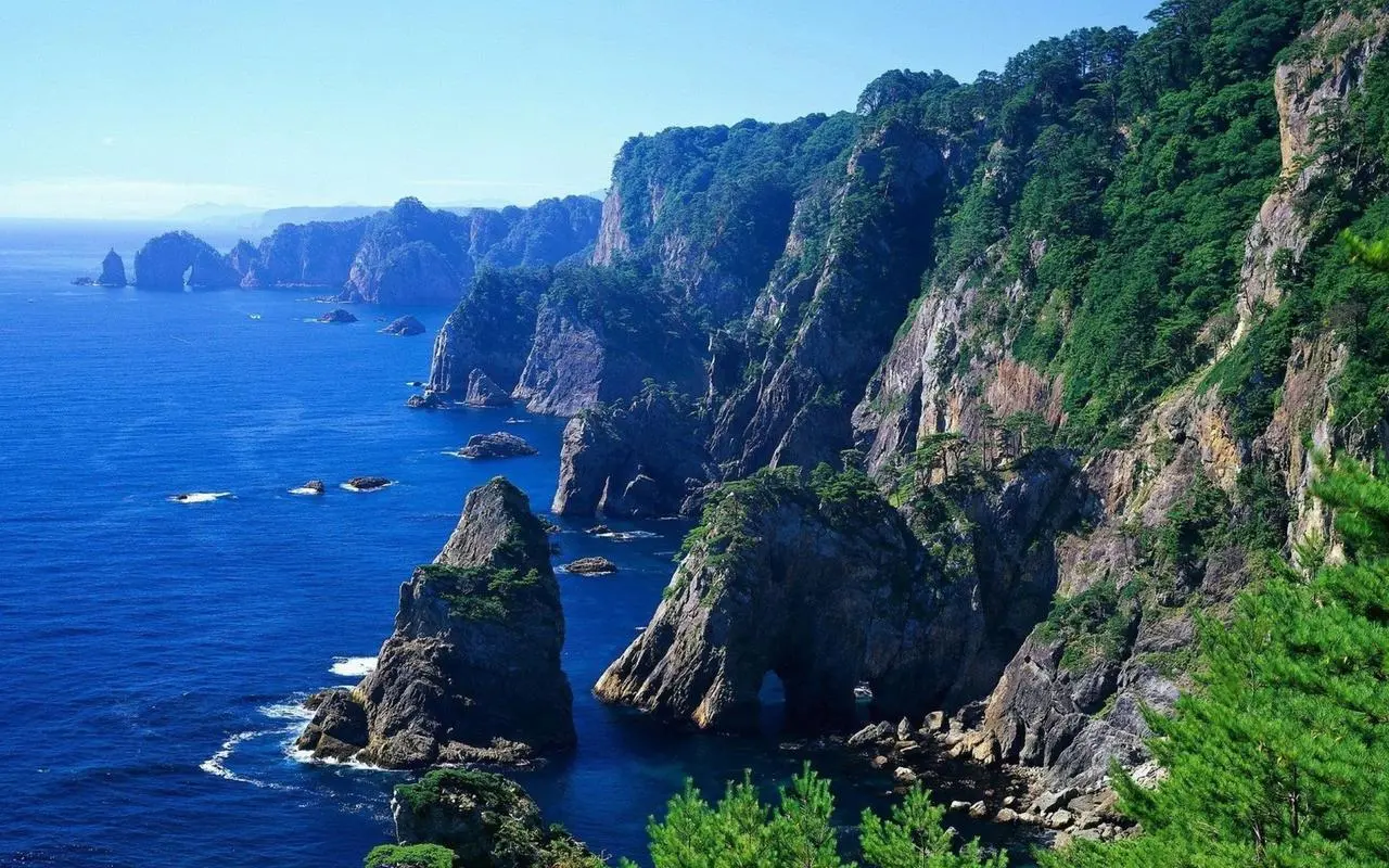 高性能绿色